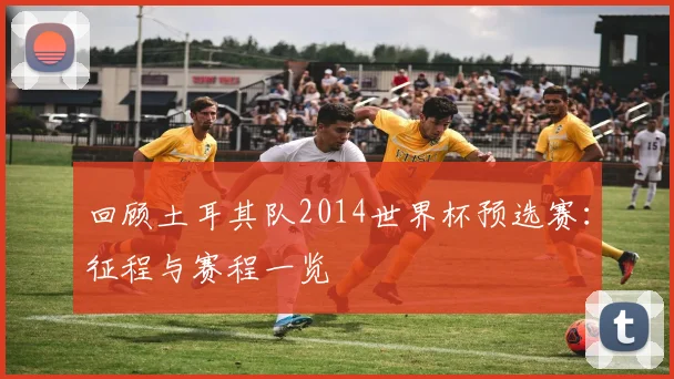 回顾土耳其队2014世界杯预选赛:征程与赛程一览