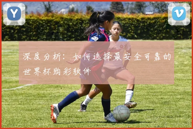 深度分析：如何选择最安全可靠的世界杯购彩软件