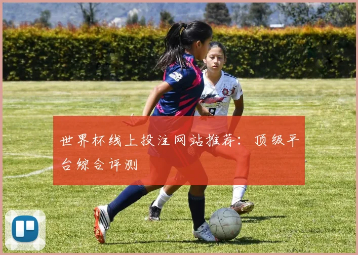 世界杯线上投注网站推荐:顶级平台综合评测