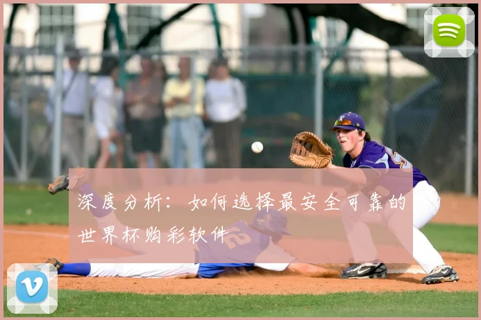 深度分析：如何选择最安全可靠的世界杯购彩软件