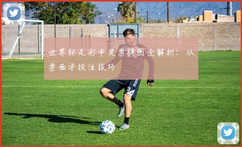 世界杯足彩中奖票样图全解析：从票面学投注技巧