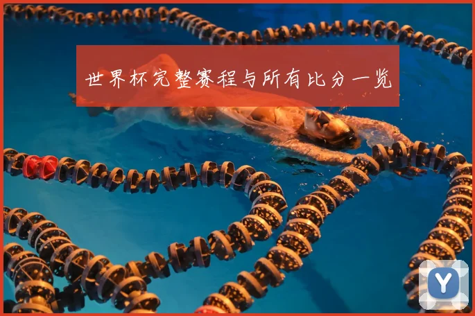 世界杯完整赛程与所有比分一览
